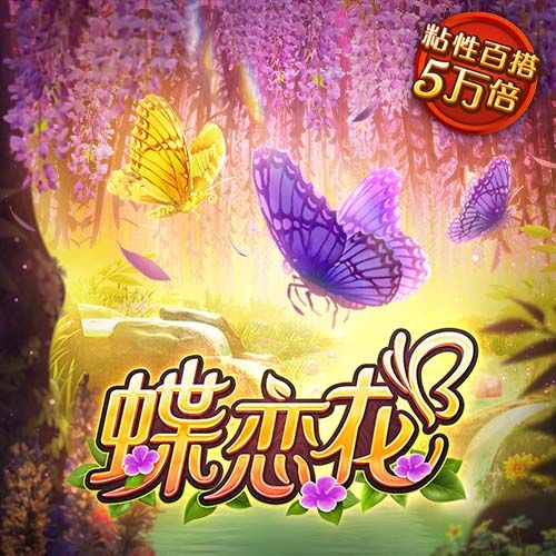 m6米乐网官网